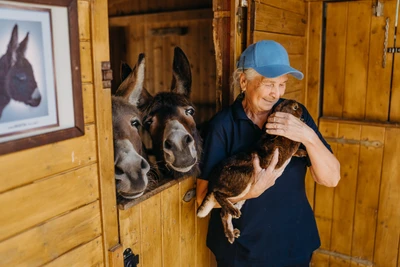 3436416b-b722-49ff-9304-2ed4133b7155