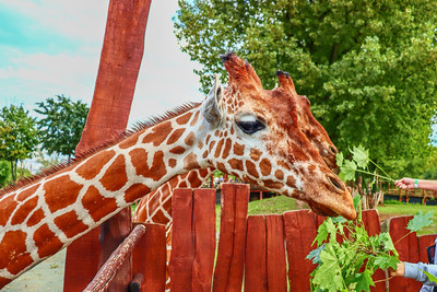 Safari Park Dvůr Králové nad Labem