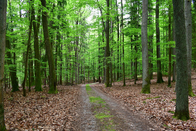 Jeskyně blanických rytířů v Rudce