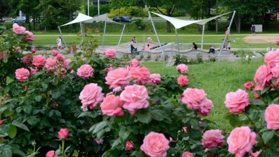 f97d3111-f7ba-4b4f-9f49-b789e6a9985f f97d3111-f7ba-4b4f-9f49-b789e6a9985f