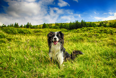 Mechová pěšinka – Pohádková cesta krkonošskou flórou