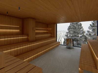 sauna sauna