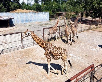 Zoo Olomouc na Svatém Kopečku