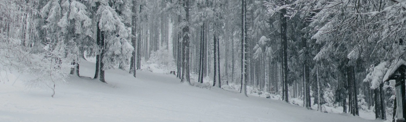 758d4841-f012-49f6-9908-a6dc3bb98371 758d4841-f012-49f6-9908-a6dc3bb98371