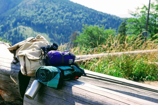 8cbcae88-1d67-46ac-92ba-d99d38a339cb 8cbcae88-1d67-46ac-92ba-d99d38a339cb