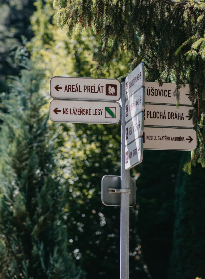 070dc741-ad0e-4a10-b71f-5e858d205ab9 070dc741-ad0e-4a10-b71f-5e858d205ab9