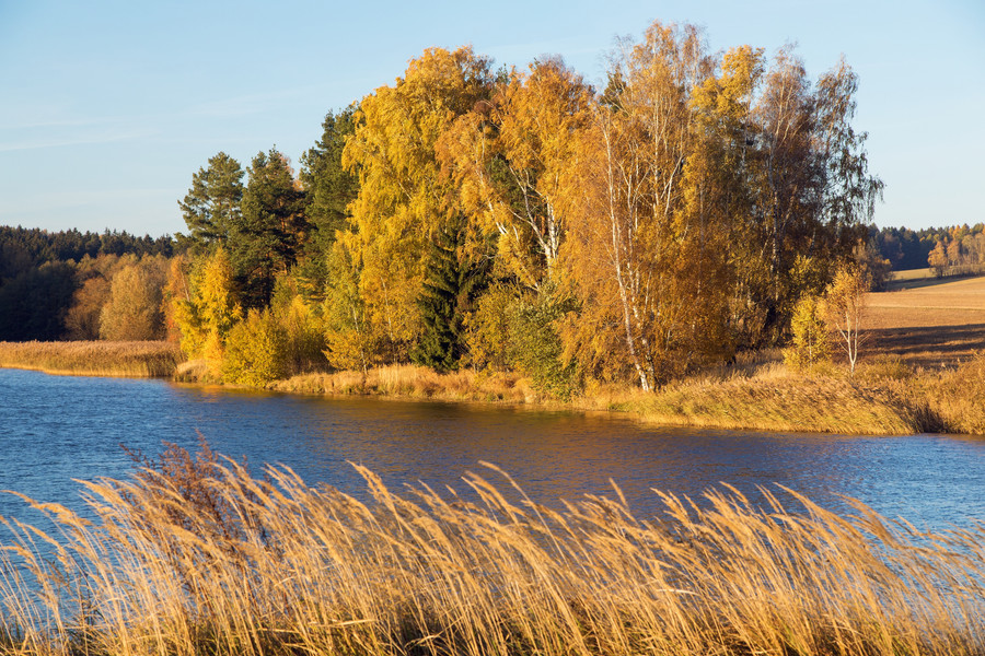 sochy_m.kuzmiaka_shutterstock_2144746891