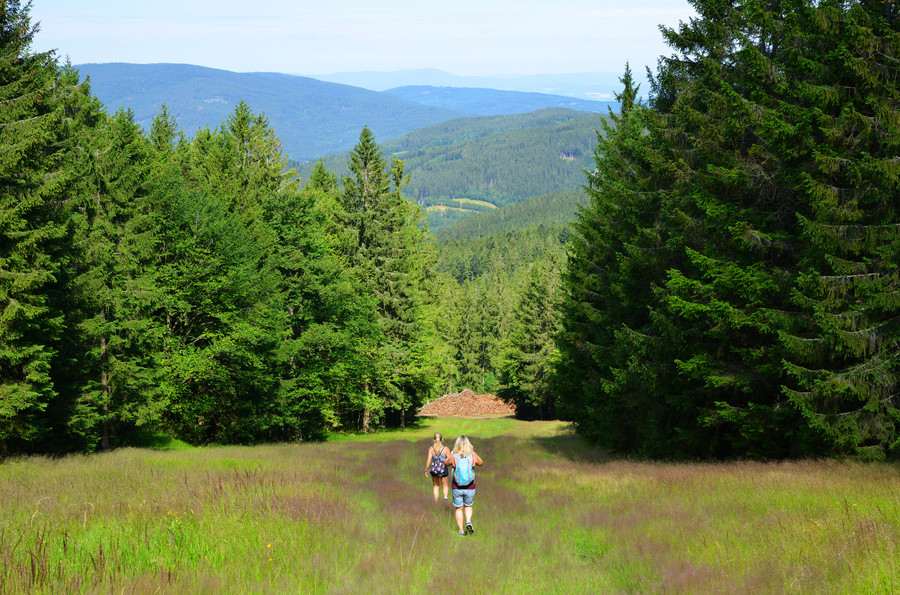 Naučná stezka Po stopách zajíce