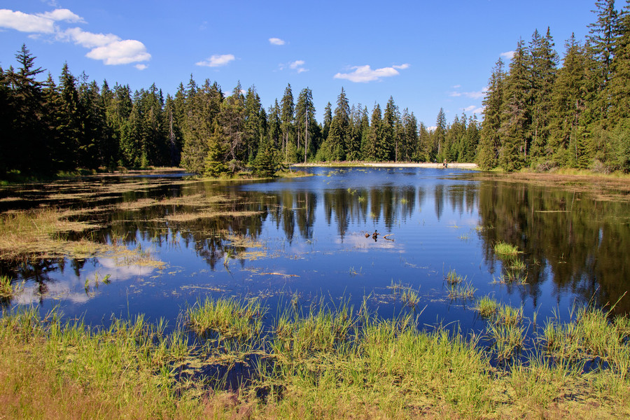 Naučná stezka Kladská