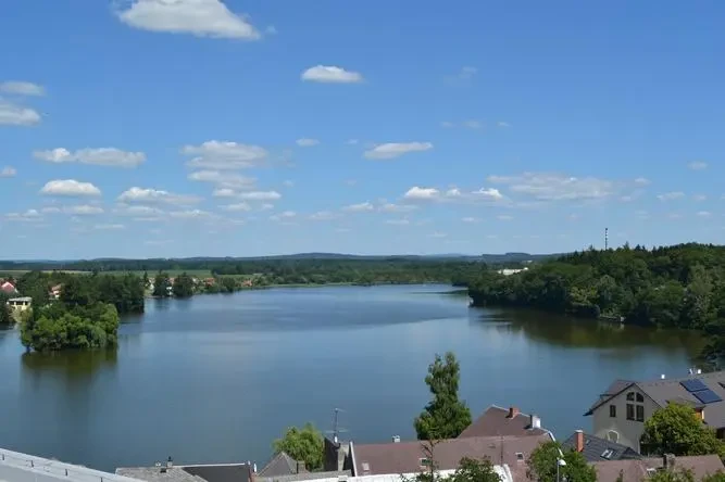 0e8e1fe8-b61b-4444-8a52-63d775b54732 0e8e1fe8-b61b-4444-8a52-63d775b54732