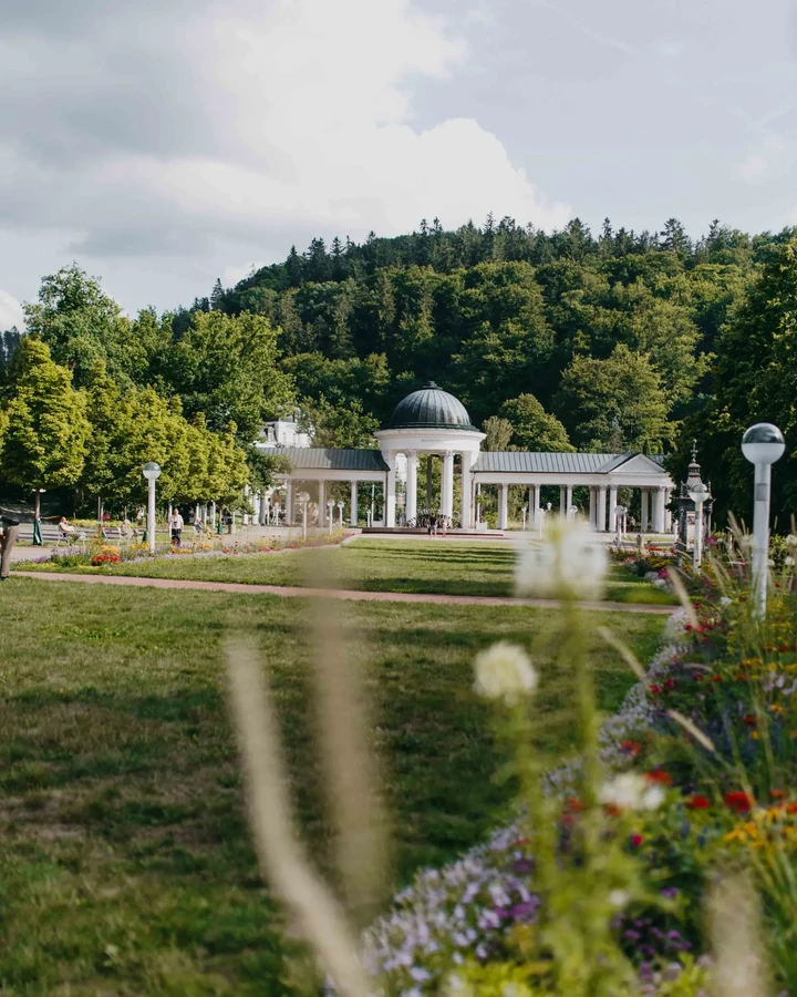 6e4ecf20-53d5-4dc4-abfa-e7eb49b6e86f 6e4ecf20-53d5-4dc4-abfa-e7eb49b6e86f