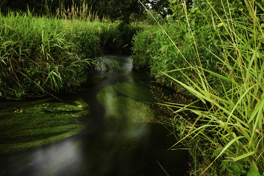 Meandry_Svratky_shutterstock_538540813