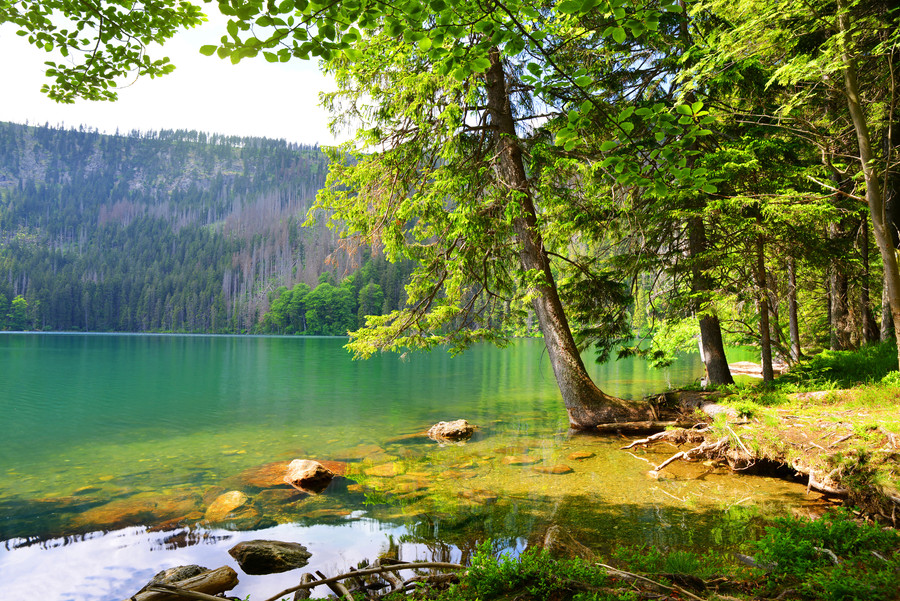 Černé_jezero_shutterstock_1022781166