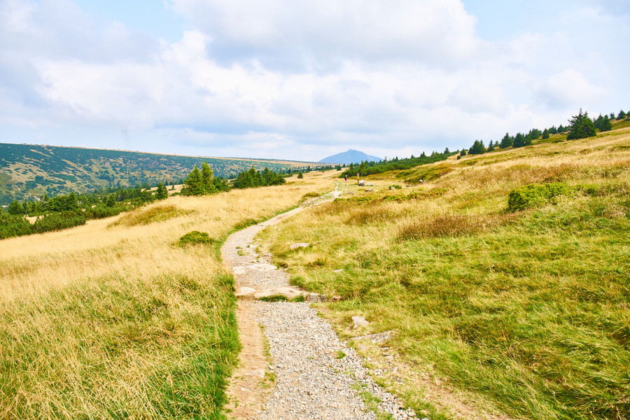 Jízda za zvířátky – Cyklostezkou za obyvateli krkonošských lesů
