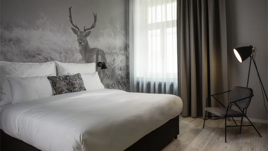 c1143ded-e44e-4565-a132-50df00867d13 c1143ded-e44e-4565-a132-50df00867d13