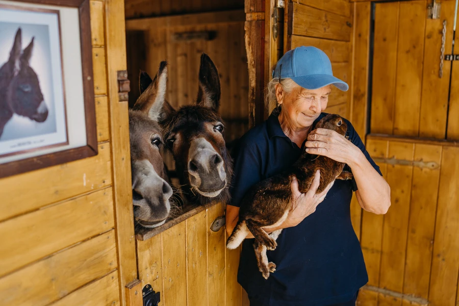 3436416b-b722-49ff-9304-2ed4133b7155