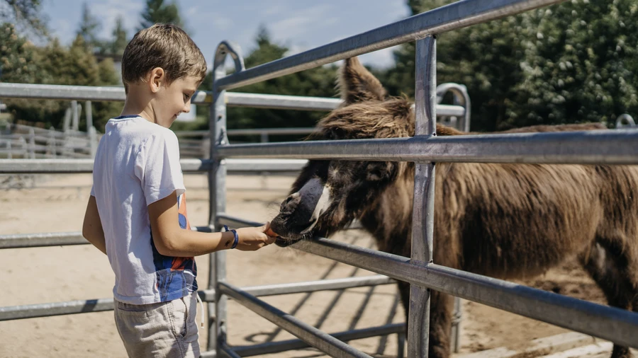 046_MB109848_OREA_Panorama 046_MB109848_OREA_Panorama