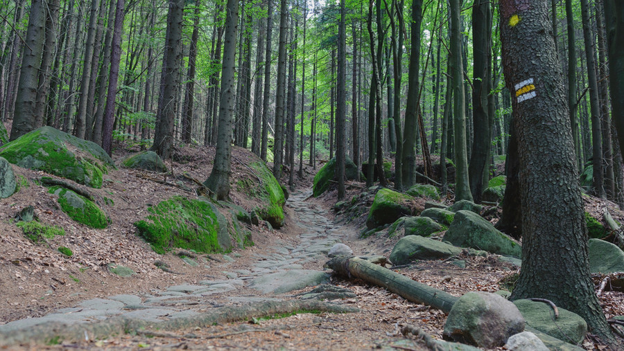 Malinska_skala_shutterstock_1786728605