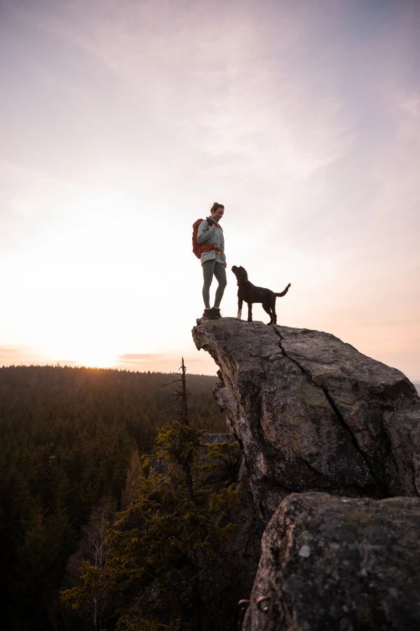 edfea099-cf49-4200-95c2-89a5152347b4 edfea099-cf49-4200-95c2-89a5152347b4