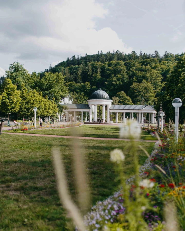 977ae6b5-282d-439f-aff5-d7f1fa0a778a 977ae6b5-282d-439f-aff5-d7f1fa0a778a