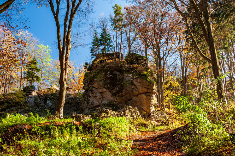 Starkov_hrad_shutterstock_1758610607