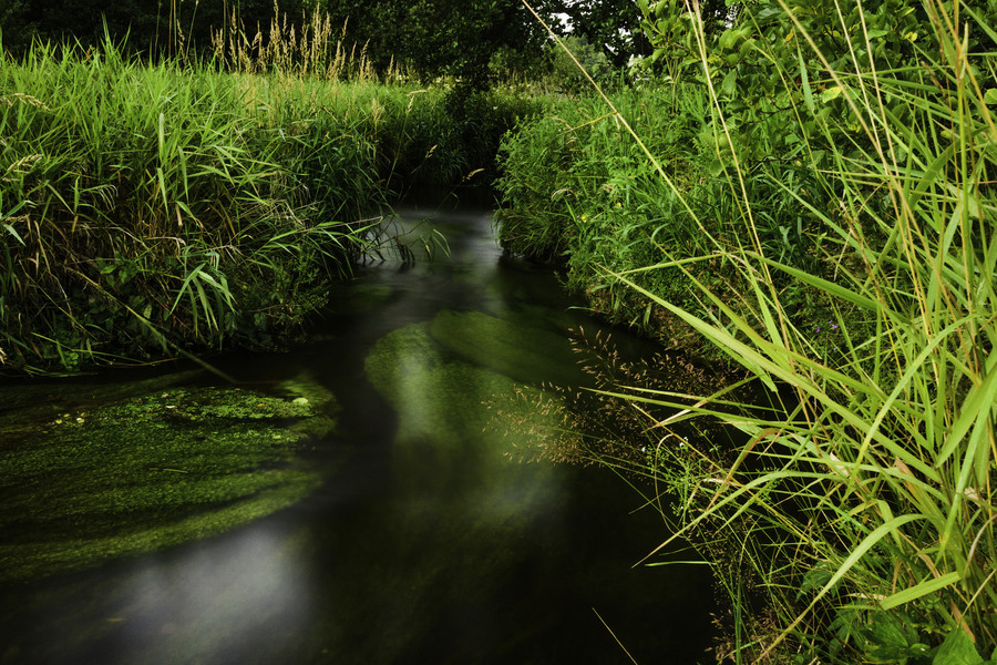 5891-Meandry_Svratky_shutterstock_538540813