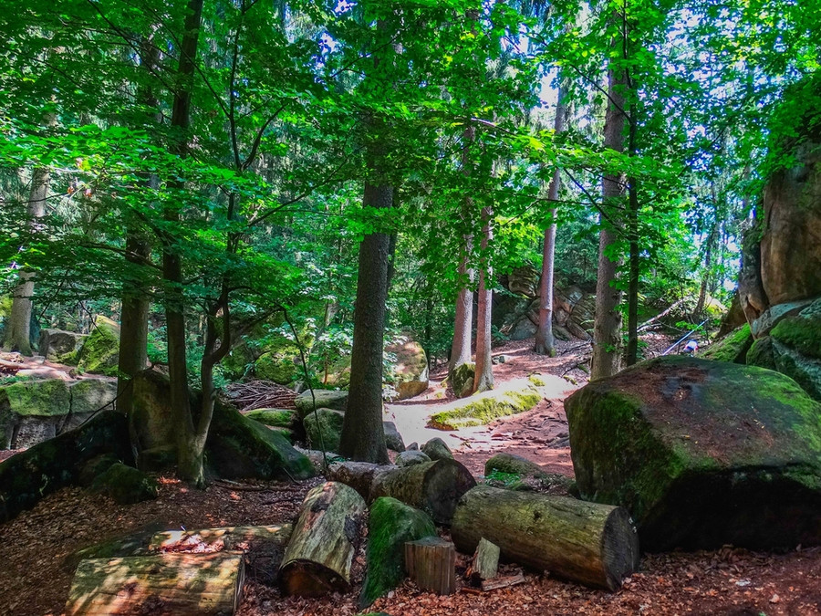 čtyři_palice_shutterstock_2653868533