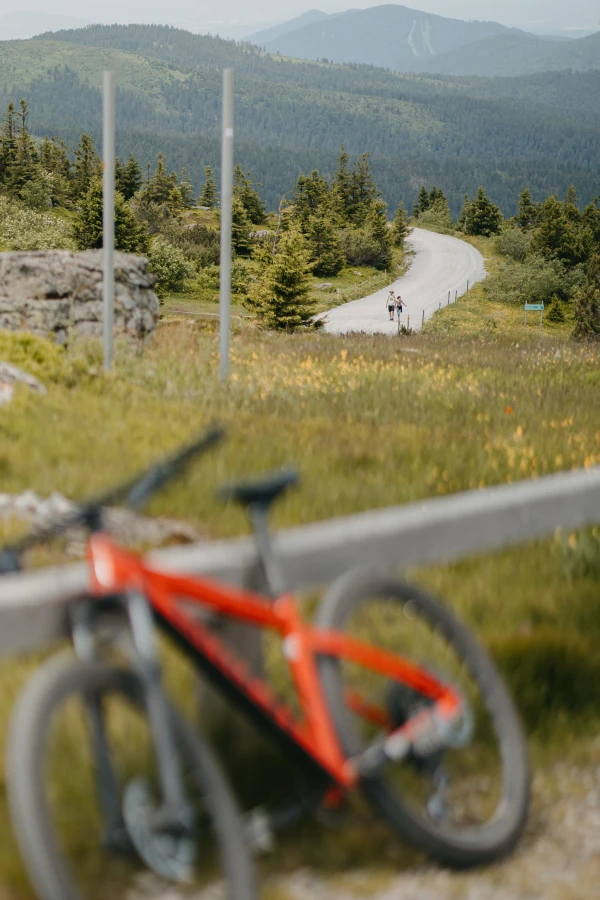 c38b6cfa-3fb6-4d55-9bf0-9fda5b995bc4 c38b6cfa-3fb6-4d55-9bf0-9fda5b995bc4