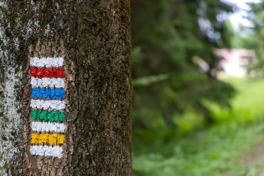 Kuky's Forest Nature Trail