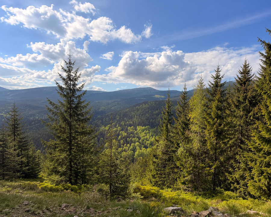 ChatGPT Image 3. 7. 2026 11_29_25