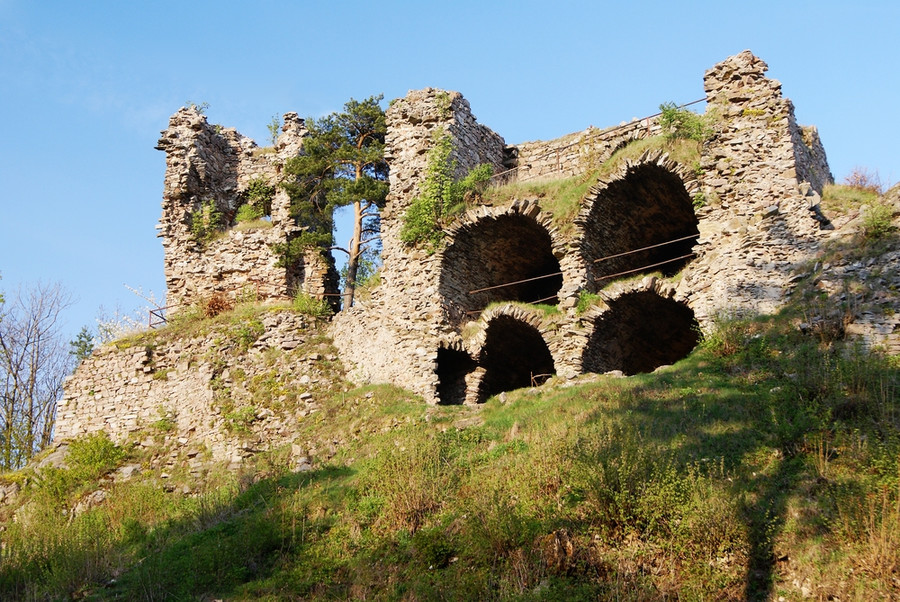 zubstejn_shutterstock_47329060